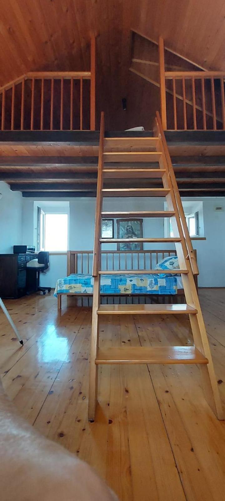 Torriano Holiday House Sibenik Exterior photo
